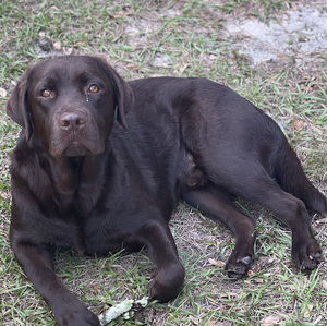 Meet your Posher, Becky